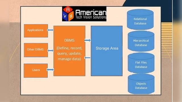 Database management system смотреть онлайн