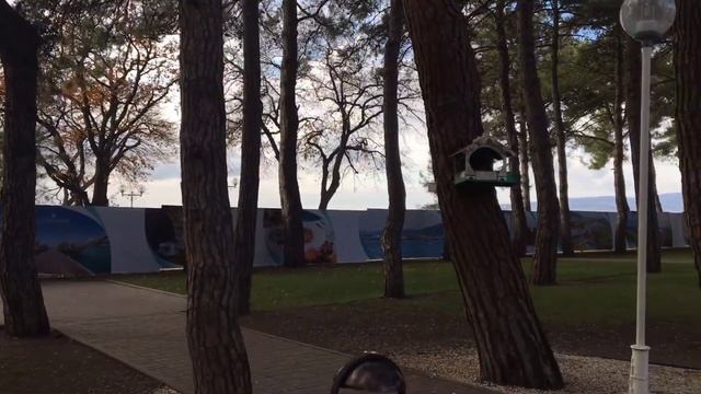 Результат массового демонтажа кафе и ресторанов на набережной Геленджика смотреть онлайн