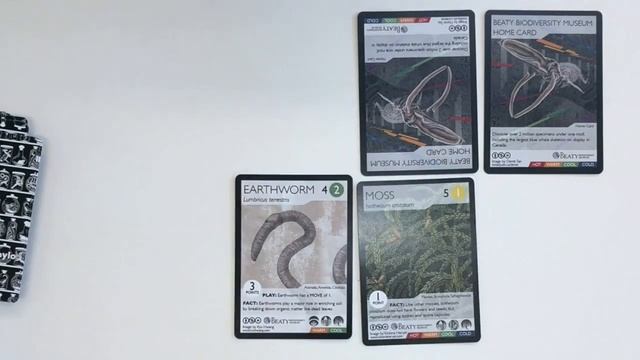 How to play PHYLO: The Ecosystem Trading Card Game смотреть онлайн