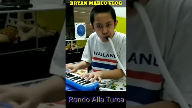 RONDO ALLA TURCA (MELODICA) смотреть онлайн