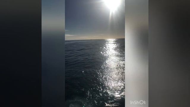 погода в океане постоянно меняется😁 смотреть онлайн