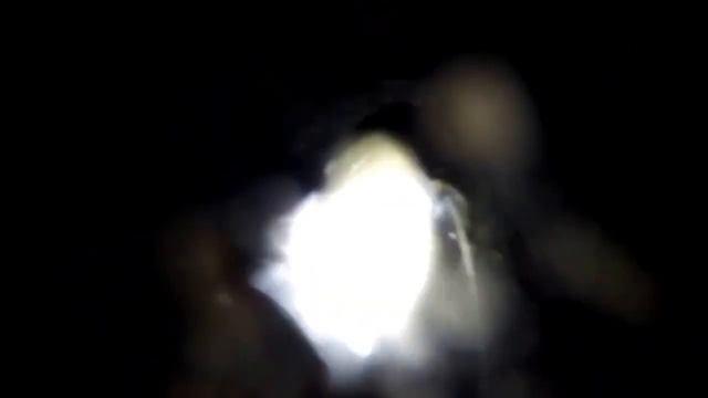 GoPro подводная охота.Сом река Ока смотреть онлайн