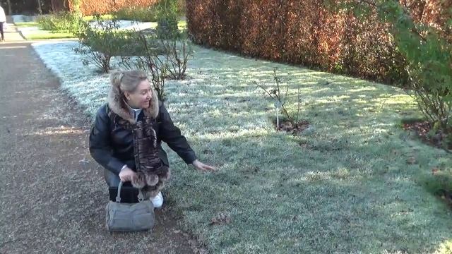 Иней в розовом саду Баден-Бадена смотреть онлайн