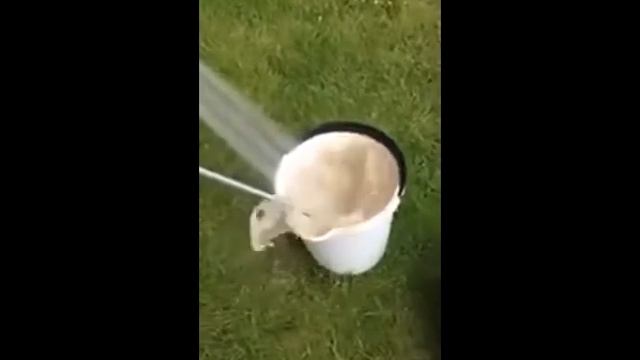 Как почистить 3кг картошки за 1 мин! Круто! смотреть онлайн