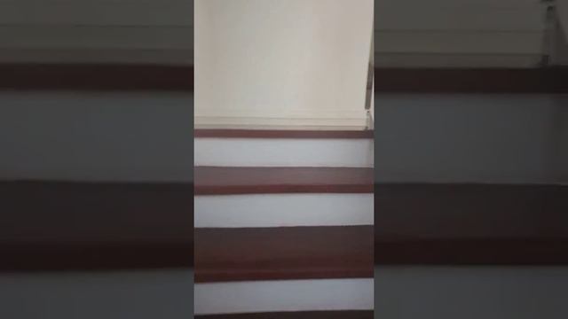 SUNTRUST RIVABELLA - AMADEA MODEL HOUSE смотреть онлайн