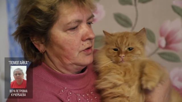 КАК НА ПОСТРАДАВШИХ НАЖИВАЮТСЯ "ПОМОГАЙКИ". ЧАСТЬ 6. смотреть онлайн