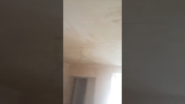 Штукатурка потолок в Омске смотреть онлайн