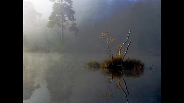 Pelourinho (Trombone, Bass, Guitar, Drums, Vocal) смотреть онлайн