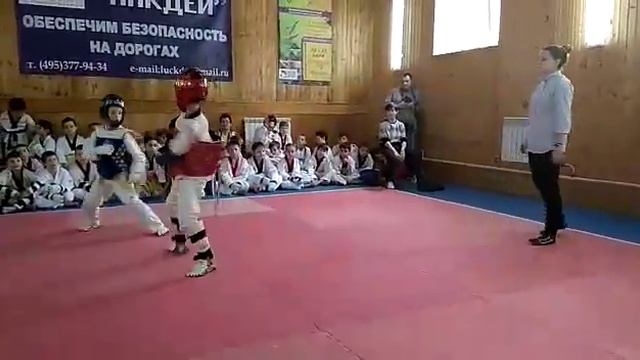 Тхэквондо Воронеж смотреть онлайн