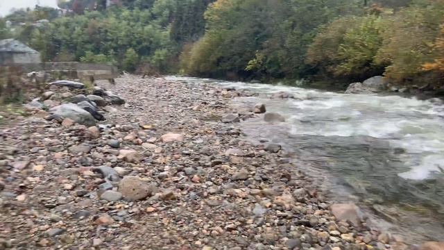 21 ноября 2020 г.