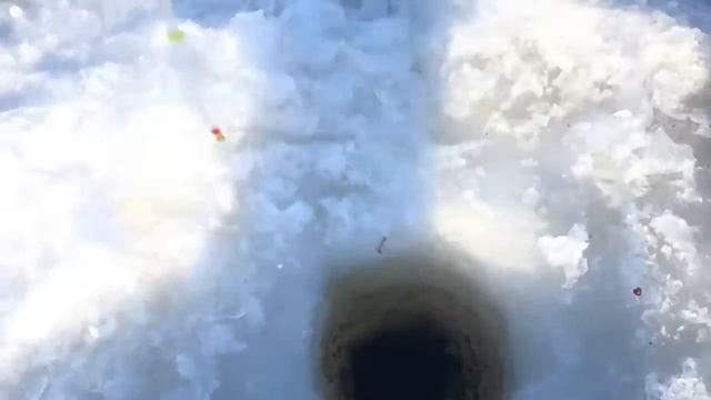 Рыбалка в Хмелевке 23.02.2018