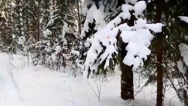 Больное счастье - поёт Василий Крюков смотреть онлайн