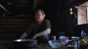 О жизни якутского волчатника.