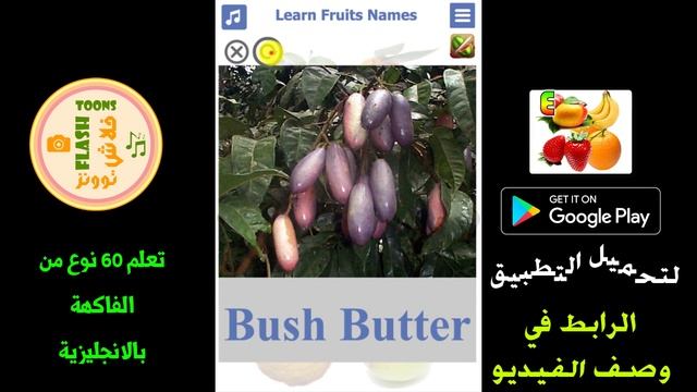 اسماء الفواكه بالانجليزي | من جميع انواع الفواكه | اسماء فواكه غريبه смотреть онлайн