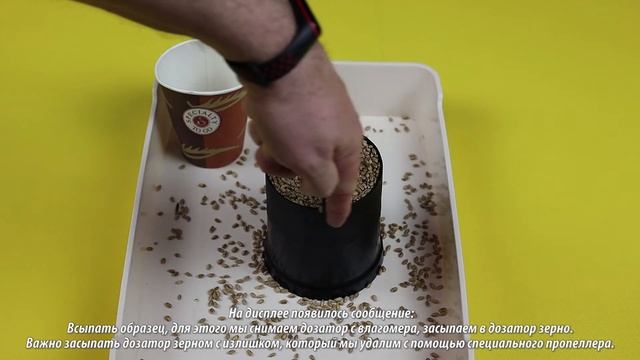 Влагомер зерна DRAMIŃSKI GMDM . Как правильно измерить влажность образца? (RU subtitles) смотреть онлайн