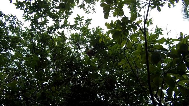 2020 - Занзибар. Удивительное путешествие.