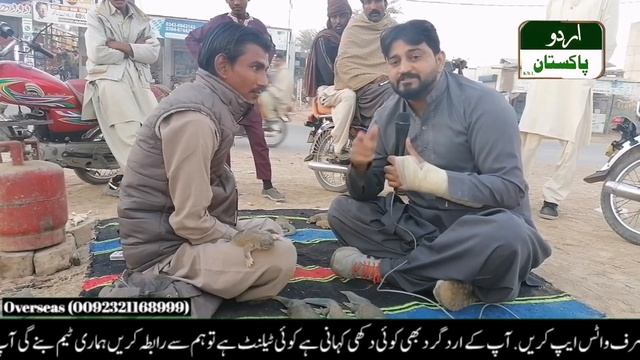 Sanday ka Original oil| Sanday k oil ka kia koi fayda hi| Making Sanda oil in Pakistan смотреть онлайн