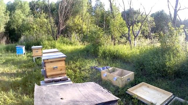 Улей лежак (2 в 1) на 20 рамок..Цена и комплектация..Переселил пчел. смотреть онлайн