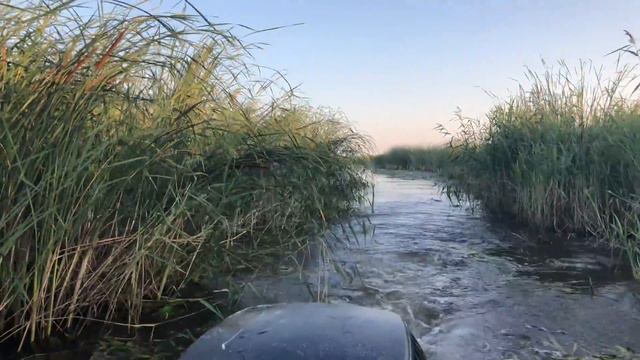 Амур на Волге в камышах смотреть онлайн
