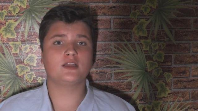 На что лучше снимать видео смотреть онлайн