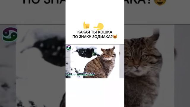 Знак зодиака смотреть онлайн