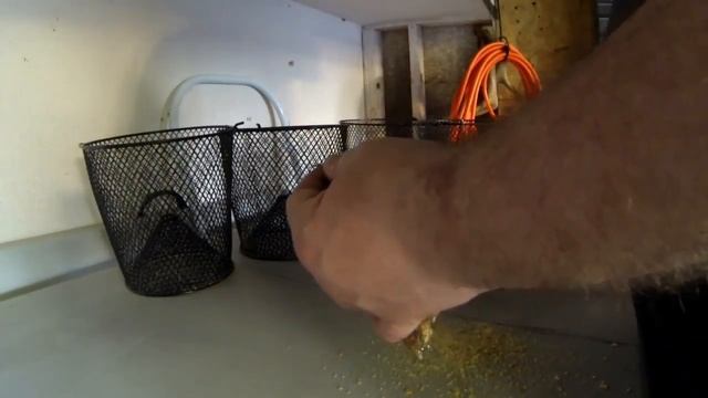 How to catch creek chubs. How to use a minnow trap смотреть онлайн