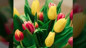 Музыкальное поздравление с международным женским днём. Музыкальная открытка с 8 марта