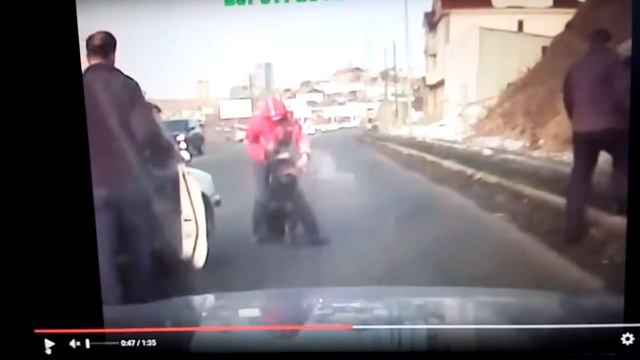 Советы ленивым собаководам. Драки собак.ч1 смотреть онлайн