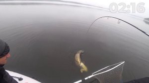 ЛУЧШИЙ ДЛЯ ДЖИГА? ОБЗОР СПИННИНГА. RONIN RUSH SONIC. RONIN RUSH SUPER SONIC