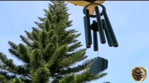 Мантра Богине Шанти (гармония, покой, равновесие)