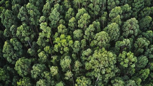 Morning Yoga Music [Songs Of Eden] 15 min of Vinyasa Music for Yoga Practice! смотреть онлайн