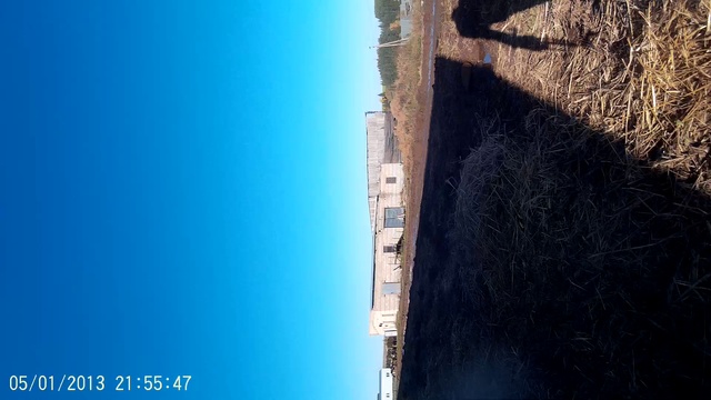 Продажа бычков,нетелей, коров! смотреть онлайн