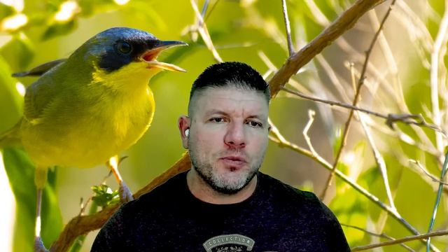 Live ao vivo para membros # 1284!! смотреть онлайн