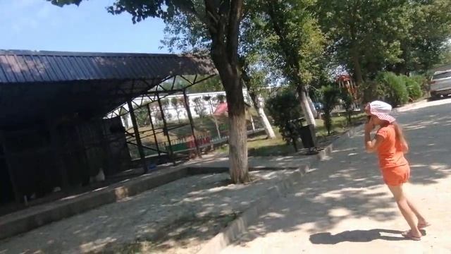 ЧЕ ТАКОЕ БЛИН-ЧЕРЕПАХАРИН?26.09.21,12:24,Уташ старый добрый нашС Полинкой и дядей все тусим по дела смотреть онлайн