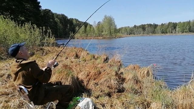 Утро на р. Сысерть // Рыбалка на новом водоеме// РЫБА ЗДЕСЬ ТОЧНО ЕСТЬ!!! Ловля на фидер И ДОНКИ смотреть онлайн