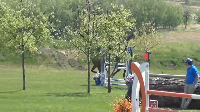 Eldorado in the 1.20m Mini Prix смотреть онлайн