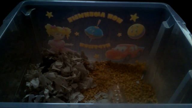 Как приручить хомяка к рукам!!!? смотреть онлайн