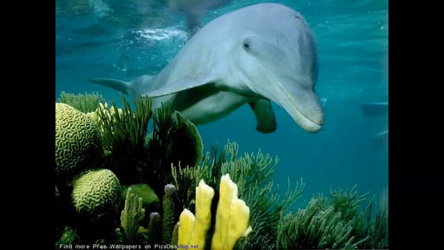 Человек Творец словом. Часть 1. смотреть онлайн