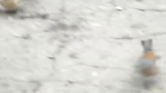 Зяблики смотреть онлайн