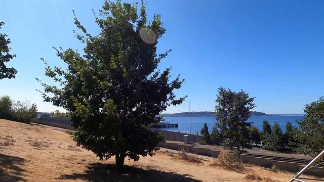 Поездка в город Сиэтл | Налоги в штате Вашингтон смотреть онлайн