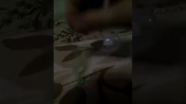 Моя змея смотреть онлайн