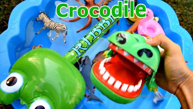 Wild Animal And Sea Animal Toys - Learn Animal Names In English