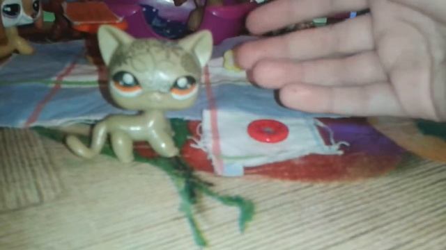 Мастер-класс по созданию кудрявой причёски смотреть онлайн