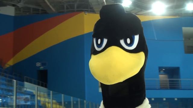 Новогодний ролик ХК"Красноярские РЫСИ" смотреть онлайн