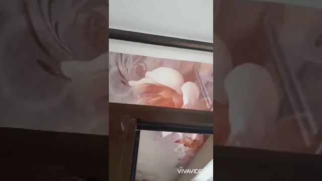 Натяжные потолки из материала MSD PREMIUM и 3D фотообои в Самарканде 902502159 972860090 смотреть онлайн