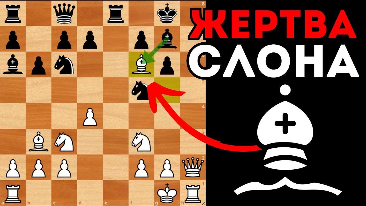 Красивая жертва Слона ставит точку в партии! Шахматы смотреть онлайн
