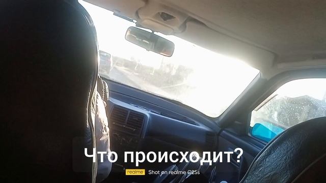 Мы везём кошку Лекси к нам в новый дом!(субтитры русский)