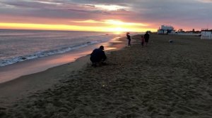 Поиск сокровищ на пляже. Search for treasures on the beach.
