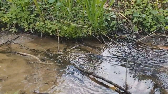 Природный ручей. Часть 1 | Как использовать ручей в строительстве пруда? смотреть онлайн