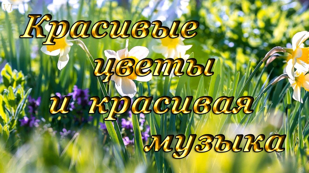 КРАСИВЫЕ ЦВЕТЫ | КРАСИВАЯ МУЗЫКА смотреть онлайн
